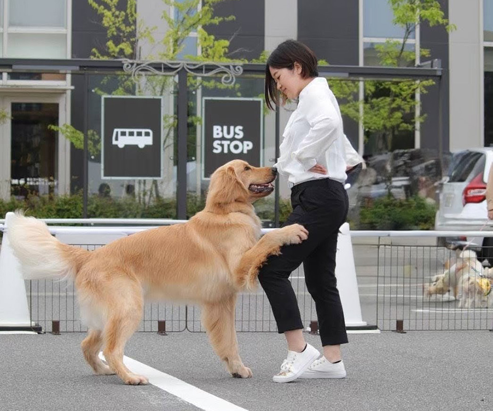 トレーナープロフィール