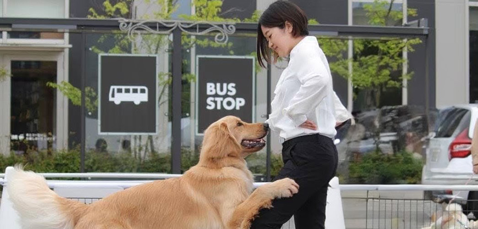 トレーナープロフィール